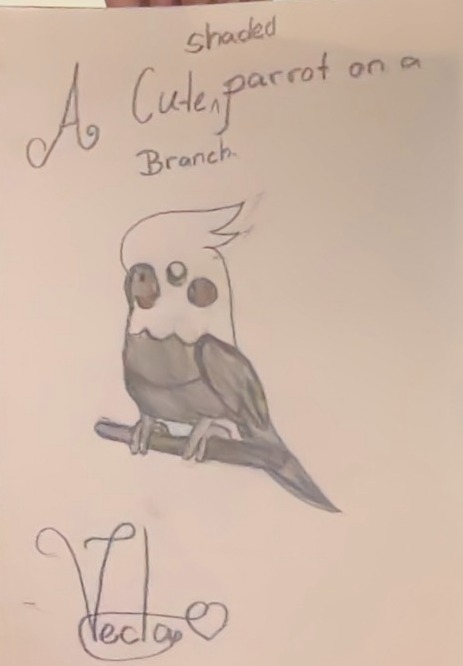 A Cute Shaded Parrot on a branch