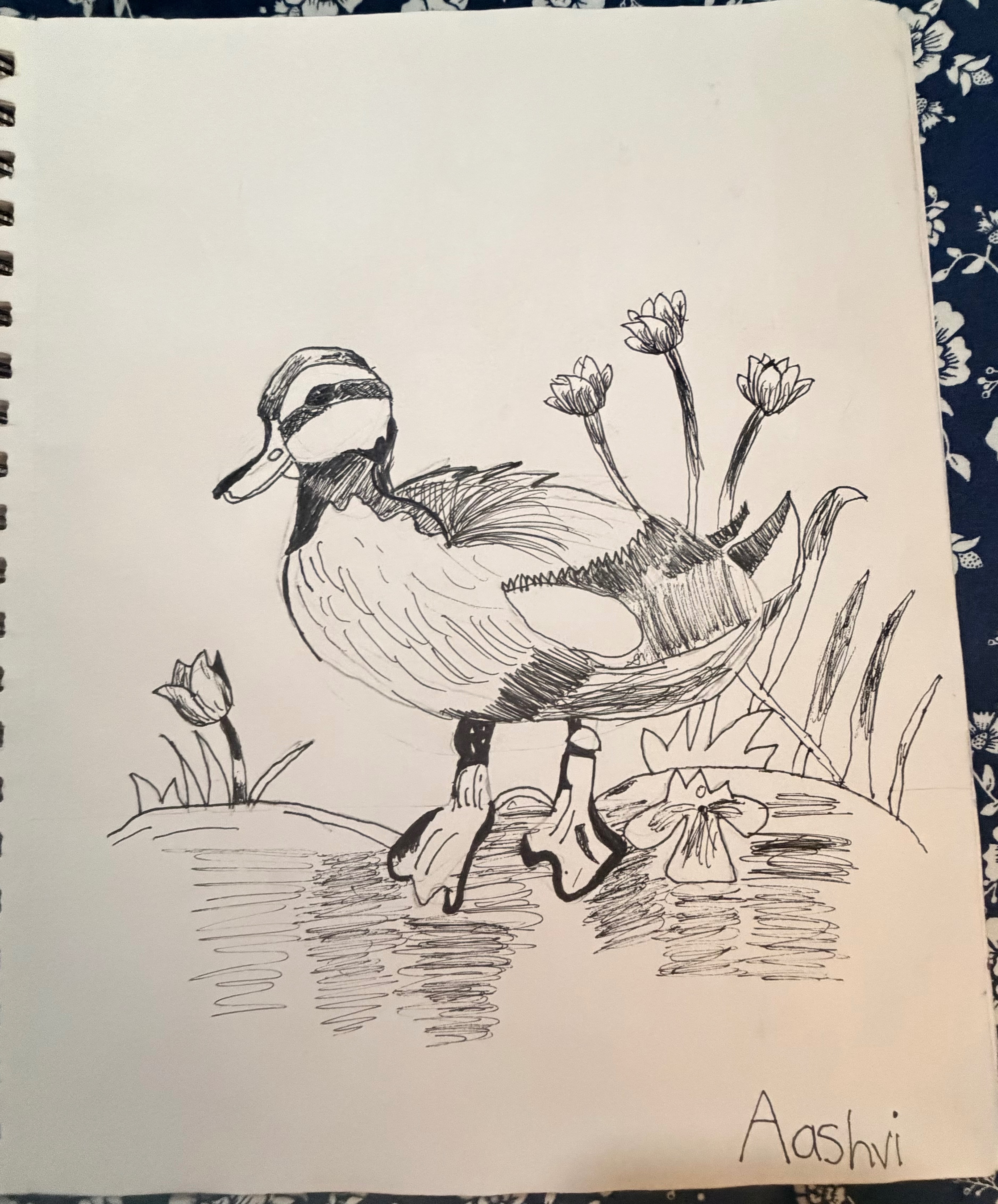Sketching 