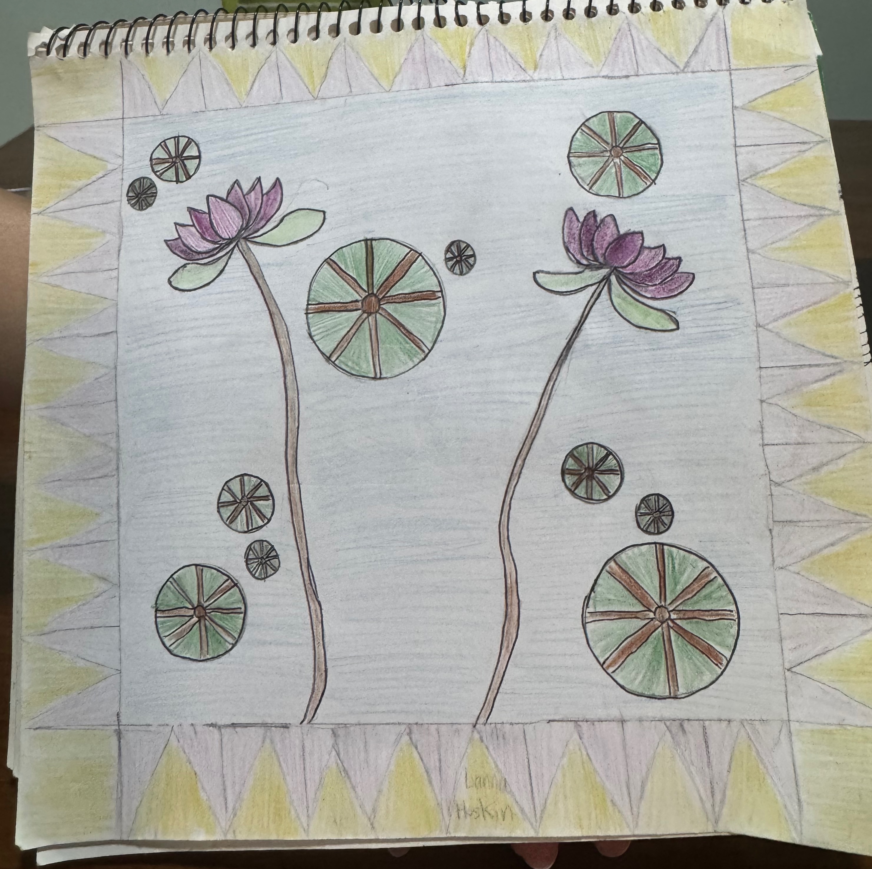 Lily pad 