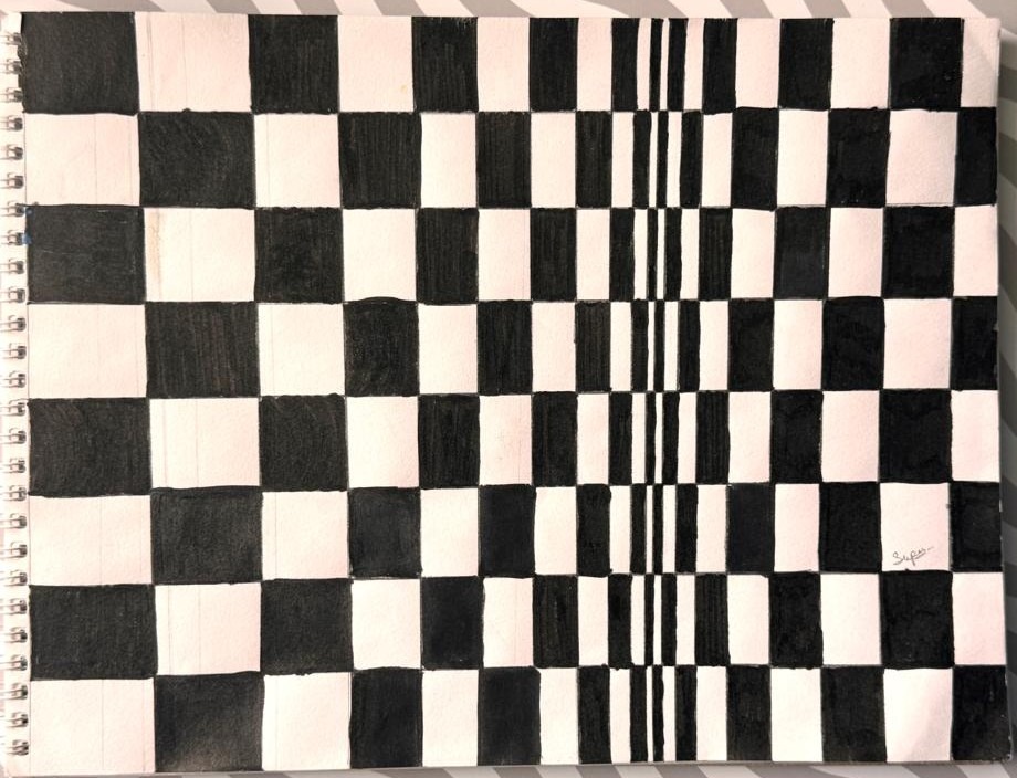 Optical Illusion Art