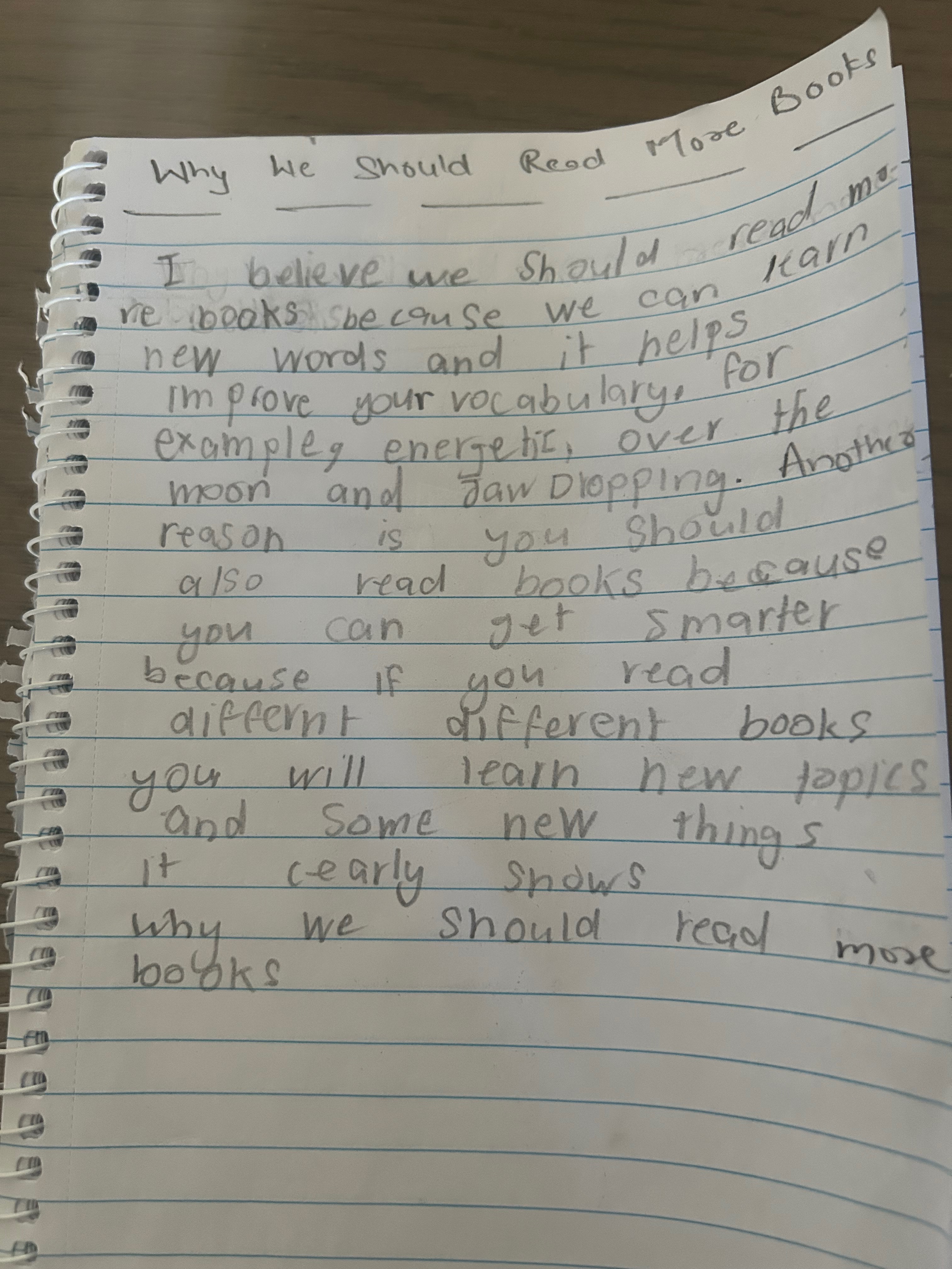 Persuasive writing on why we should read more books 