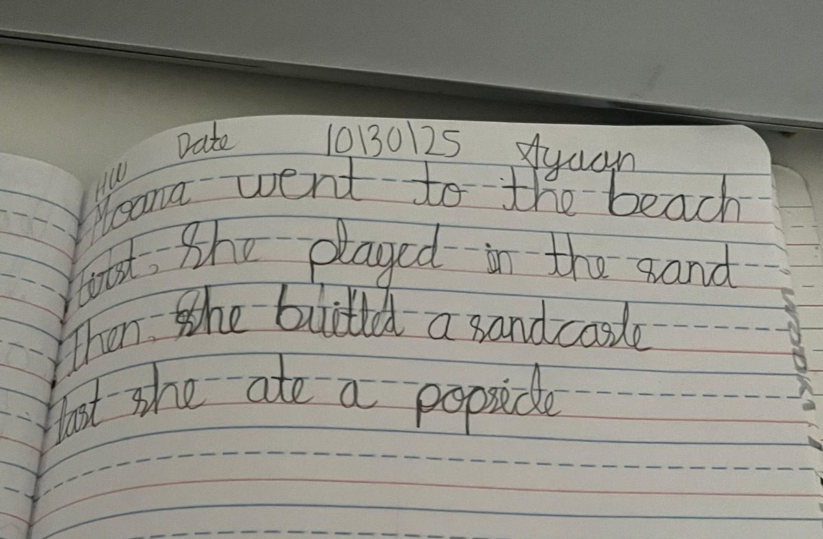 AYAAN MENTADA'S HOMEWORK 