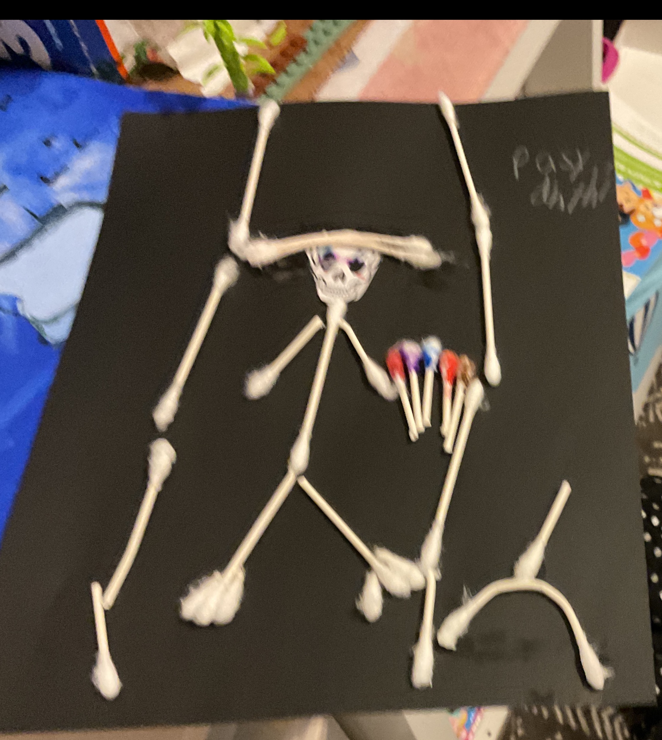 Skeleton

