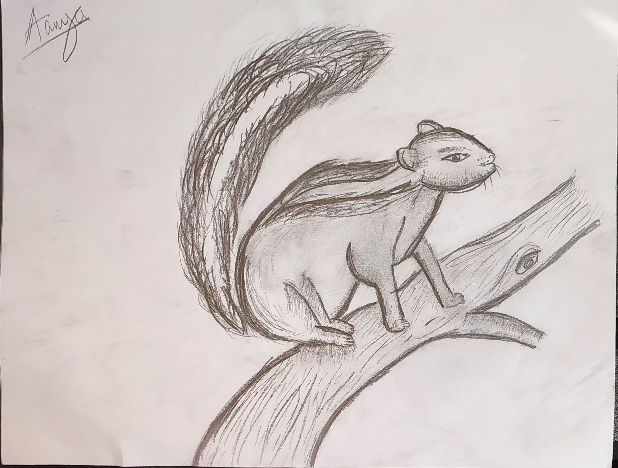 portrait of a squirrel