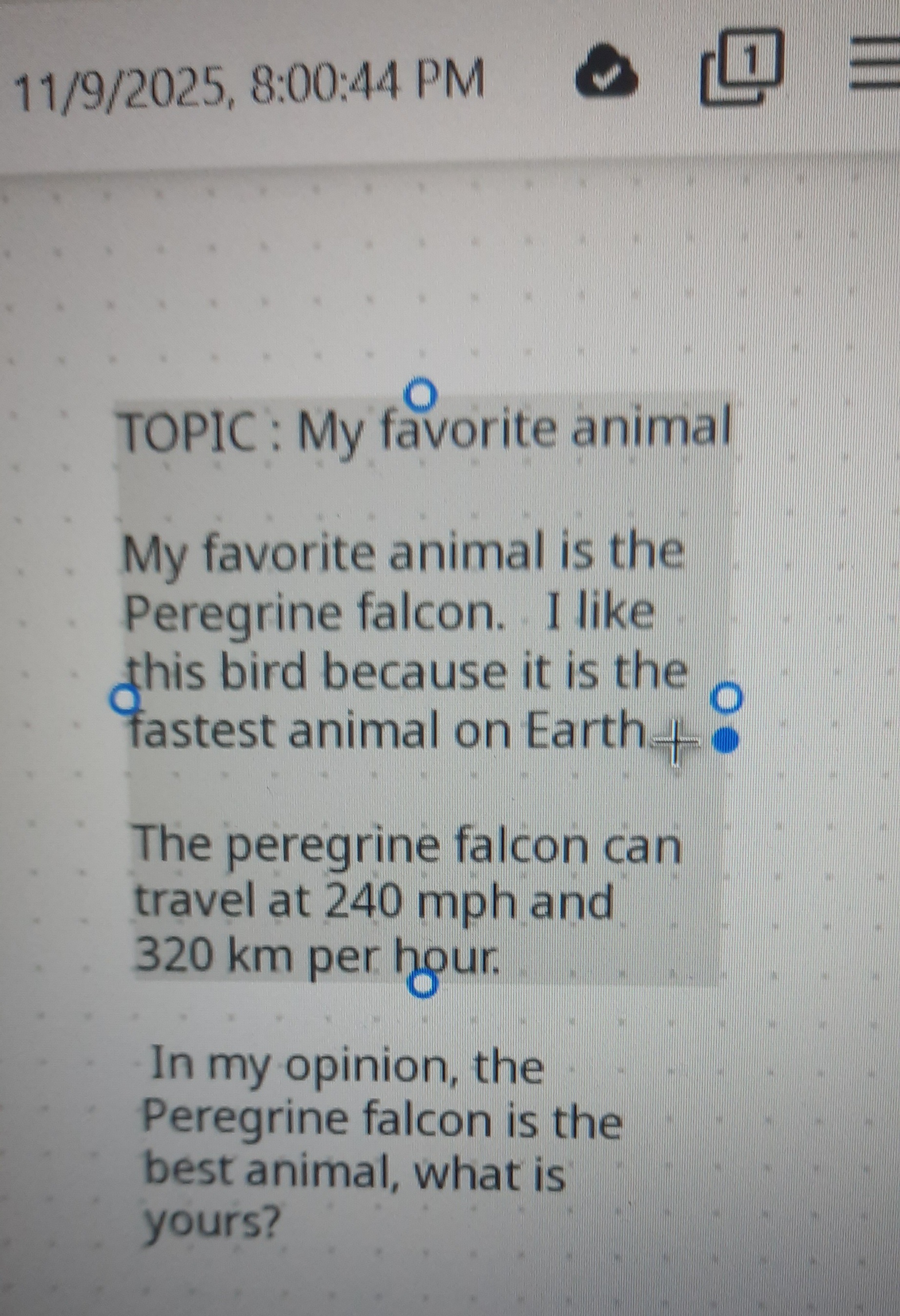 My favourite bird by Hari