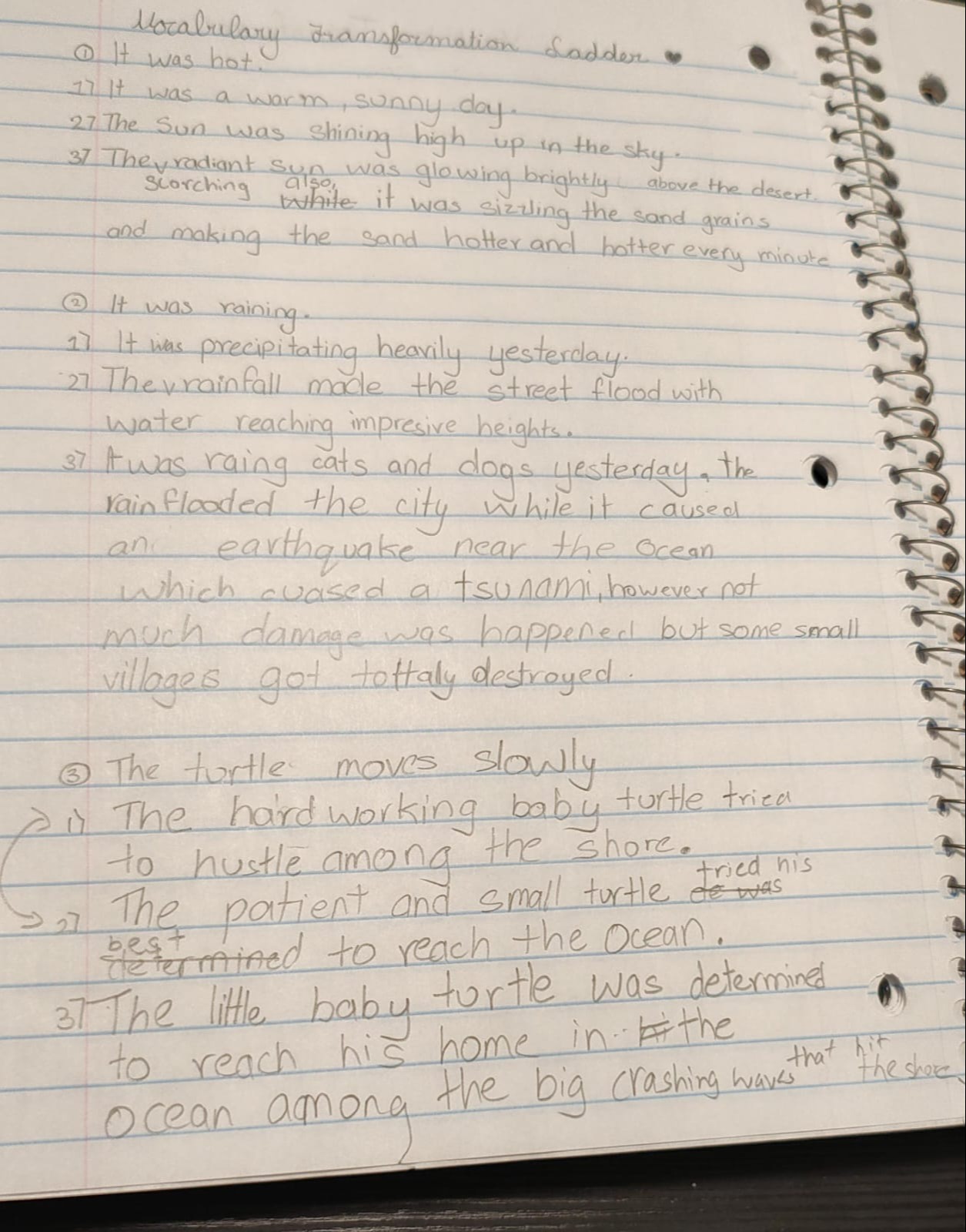 vocab transformation