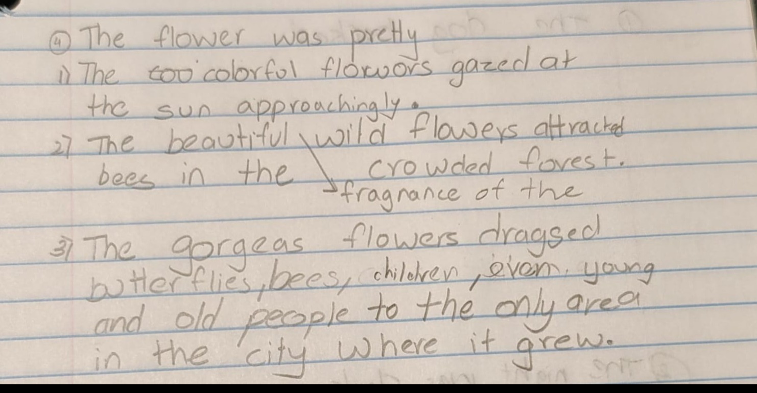 vocab transformation #2