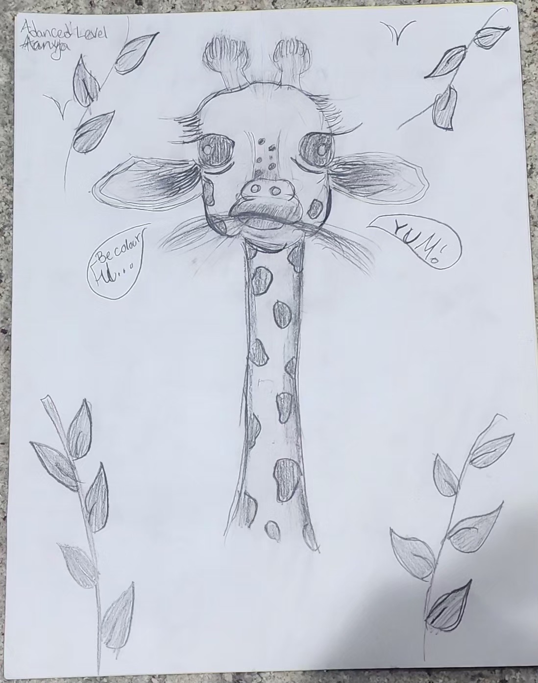 portrait of giraffe