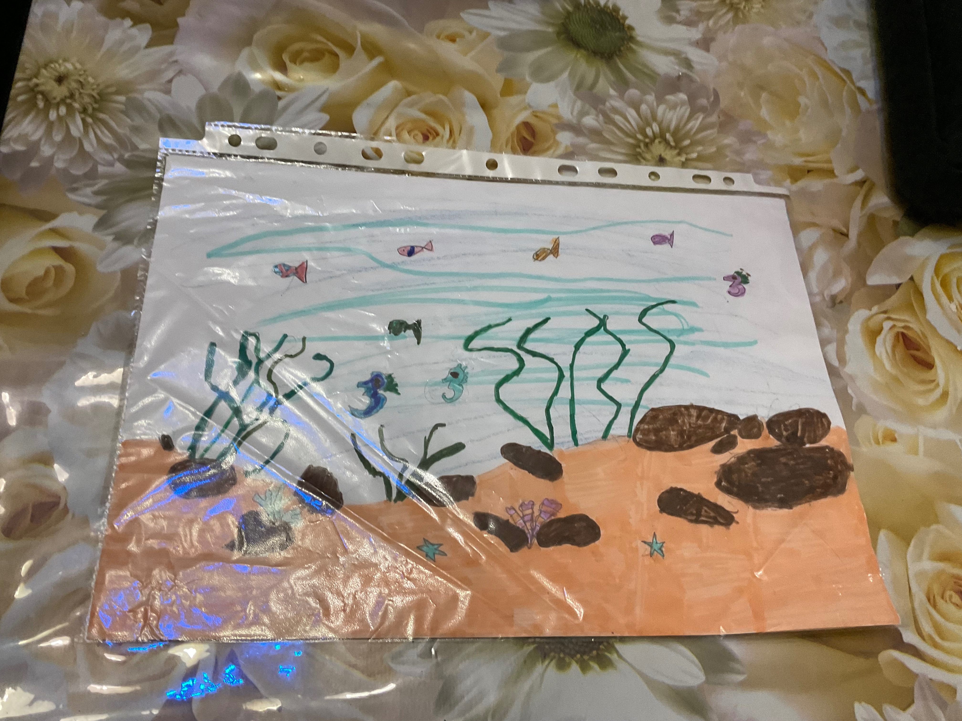 The nature underwater 