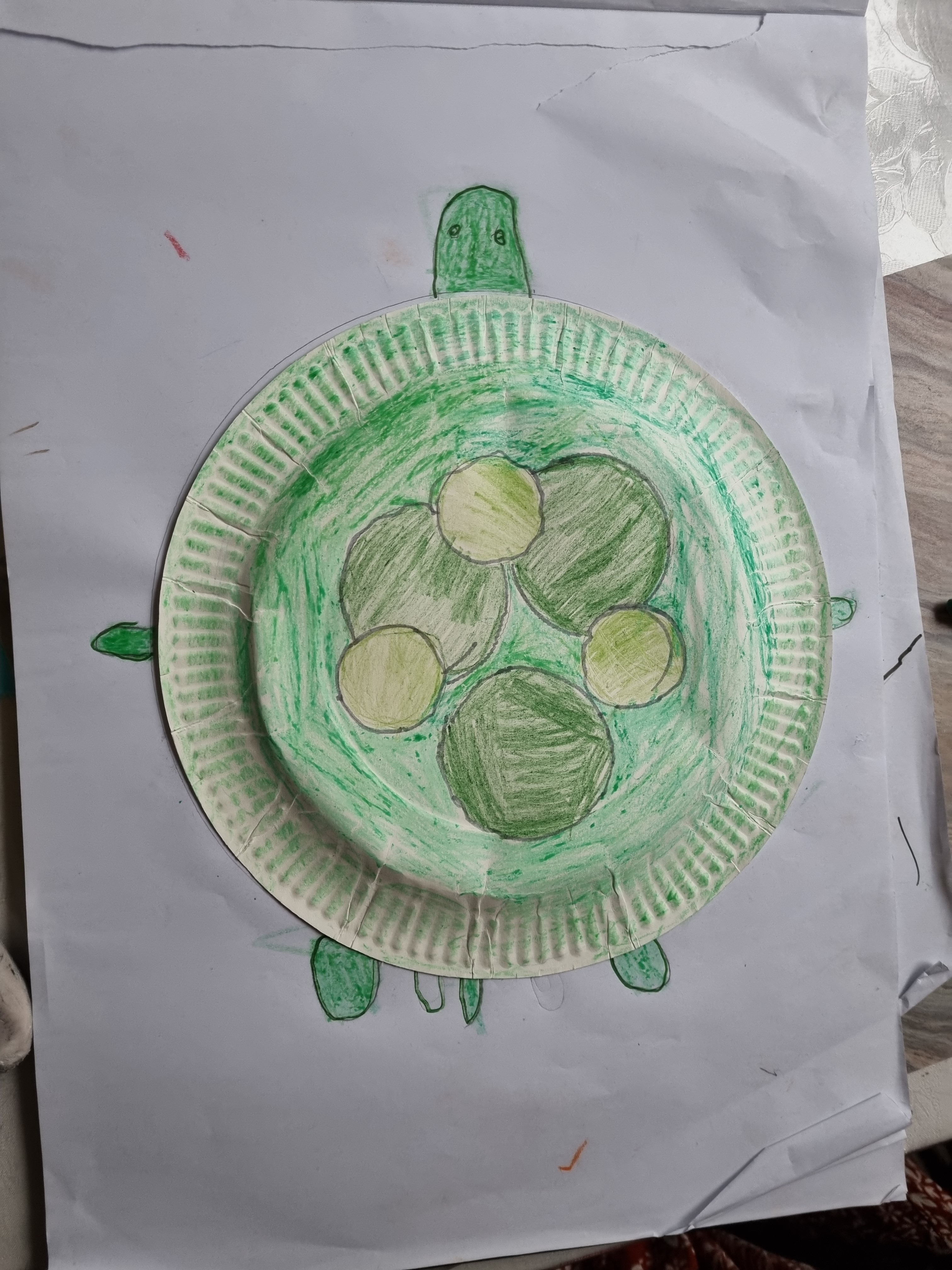 Turtle