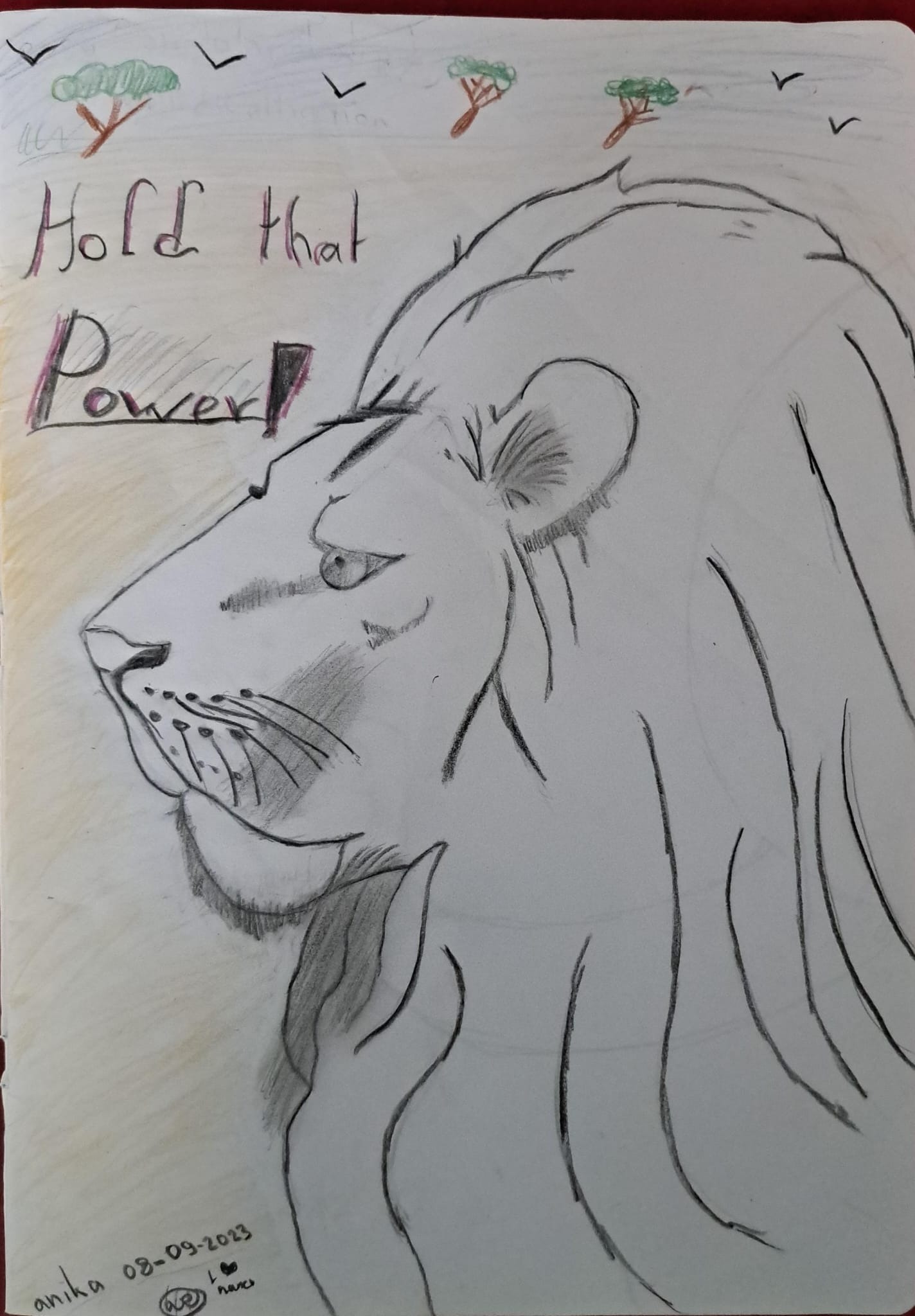 Anika's sketch of a lion